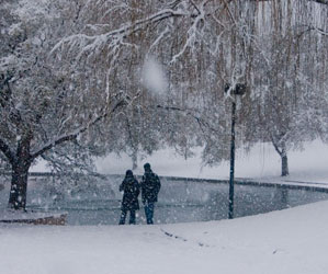 Photo of duck pond in winter. Links to Gifts of Life Insurance