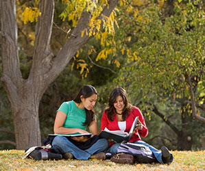 Photo of students sitting under a tree. Links to Gifts by Will